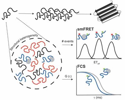 Untangling the Conformational Polymorphism of Disordered Proteins Associated With Neurodegeneration at the Single-Molecule Level